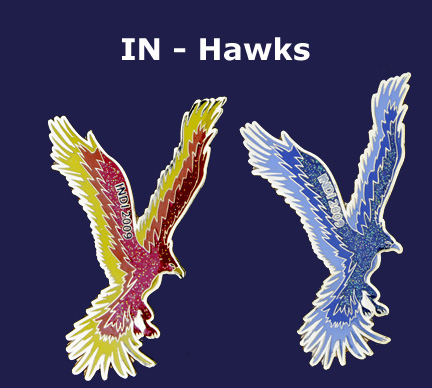 IN-Hawks.jpg