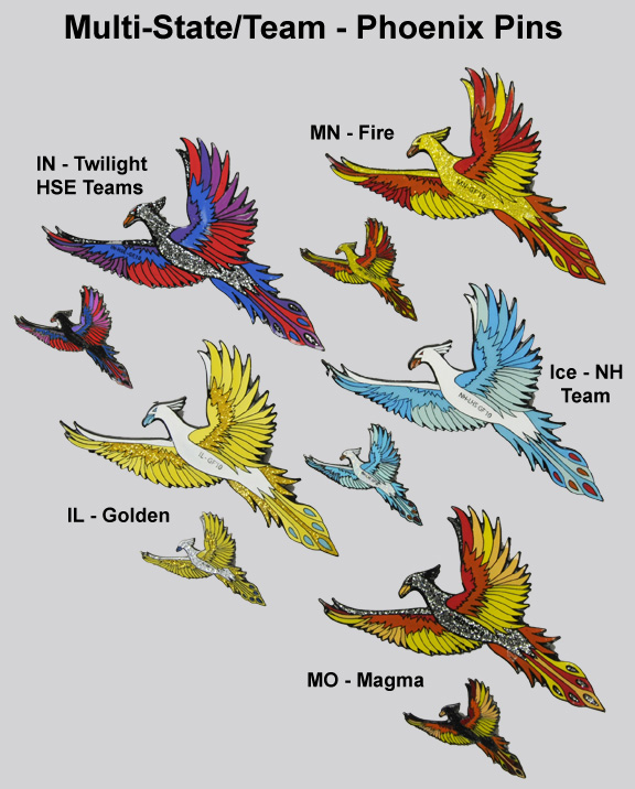 Multi-State-Team_Phoenix_Pins_2010.jpg