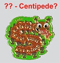 Centipede