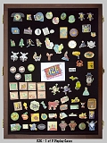 002_d2k-0_pin_display-1of3