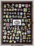007_d2k1-pin_display-2of3