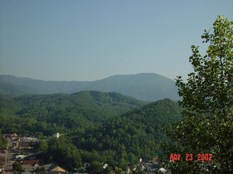 DSC00498.JPG