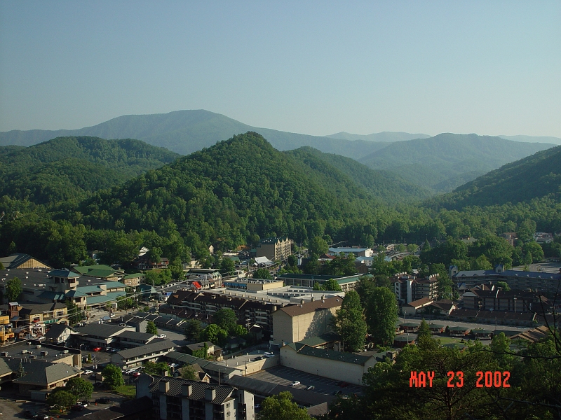 DSC00503.JPG