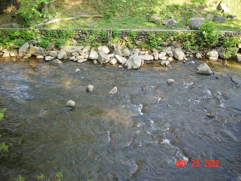 DSC00506.JPG