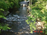 DSC00486