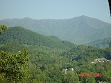 DSC00504