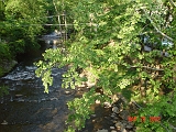 DSC00507