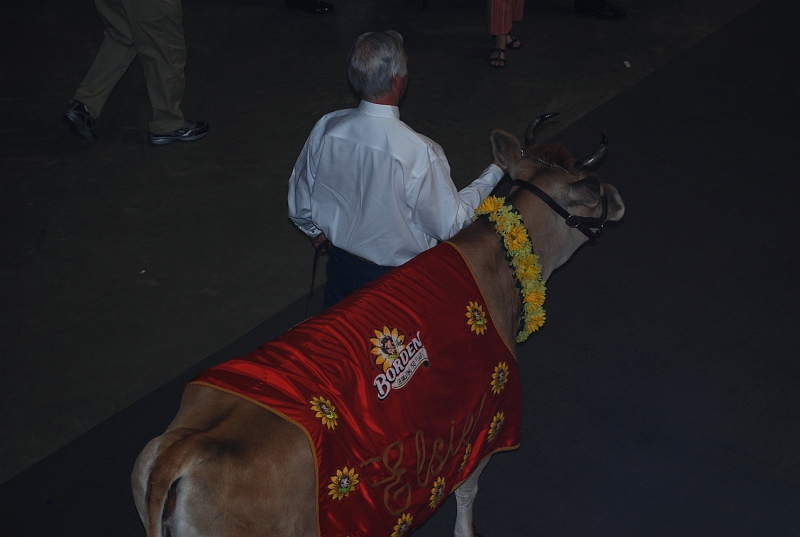 DSC_0072.jpg