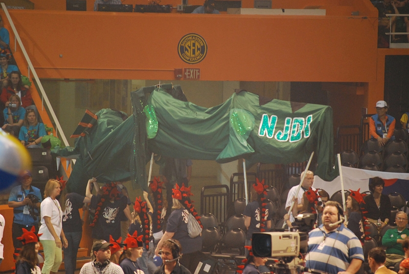 DSC_0105.jpg
